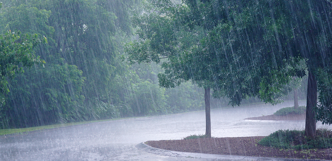 Lluvia fuerte.